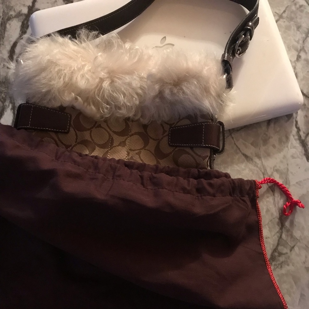 Coach Bag with dust bag
